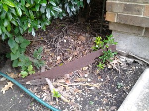 Flower Bed Erosions
